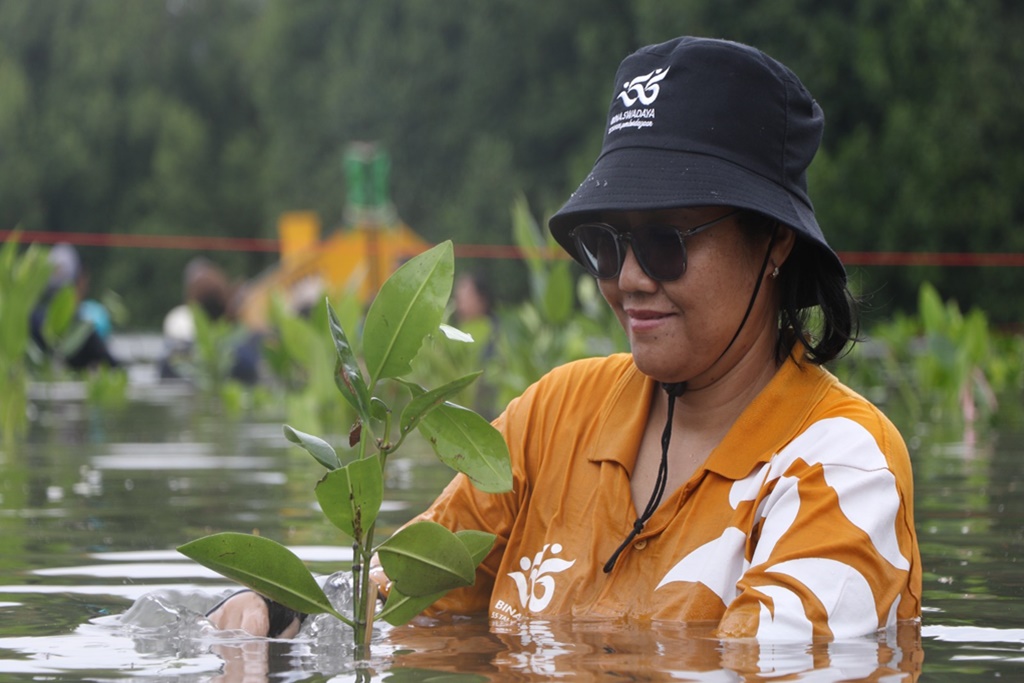 Bernapas dari Mangrove